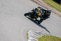 enduro-digital-images;event-digital-images;eventdigitalimages;lydden-hill;lydden-no-limits-trackday;lydden-photographs;lydden-trackday-photographs;no-limits-trackdays;peter-wileman-photography;racing-digital-images;trackday-digital-images;trackday-photos